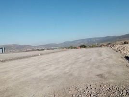  Terreno (Parcela) en venta en Apaseo El Grande, Guanajuato, Apaseo El Grande, Guanajuato