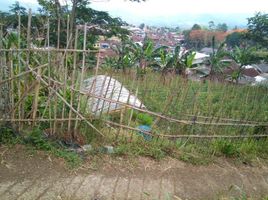  Terreno (Parcela) en venta en Lembang, West Jawa, Lembang, Bandung