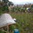  Terreno (Parcela) en venta en Lembang, West Jawa, Lembang, Bandung