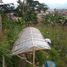  Terreno (Parcela) en venta en Lembang, West Jawa, Lembang, Bandung