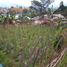  Terreno (Parcela) en venta en Lembang, West Jawa, Lembang, Bandung