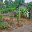  Terreno (Parcela) en venta en Prambanan, Jawa Tengah, Prambanan, Klaten