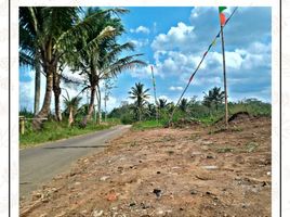  Tanah for sale in Kepanjen, Malang Regency, Kepanjen