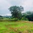  Land for sale in West Jawa, Cidadap, Bandung, West Jawa