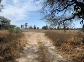 Grundstück zu verkaufen in Tequisquiapan, Queretaro, Tequisquiapan