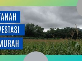  Land for sale in Maros, South Sulawesi, Bantimurung, Maros