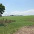  Land for sale in Manlio Fabio Altamirano, Veracruz, Manlio Fabio Altamirano