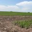  Land for sale in Manlio Fabio Altamirano, Veracruz, Manlio Fabio Altamirano