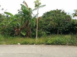  Land for sale in Cavite, Calabarzon, Tagaytay City, Cavite