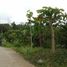  Land for sale in Cavite, Calabarzon, Tagaytay City, Cavite