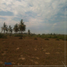  Land for sale in Tecuala, Nayarit, Tecuala