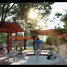  Land for sale in Sinanche, Yucatan, Sinanche
