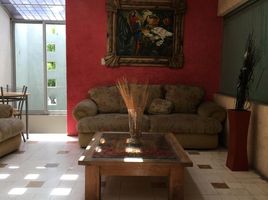18.80 m² Office for rent in San Andres Cholula, Puebla, San Andres Cholula