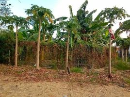  Grundstück zu verkaufen in Wonocolo, East Jawa, Wonocolo, Surabaya, East Jawa