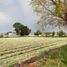  Land for sale in Tarimbaro, Michoacan, Tarimbaro