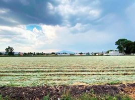  Land for sale in Tarimbaro, Michoacan, Tarimbaro