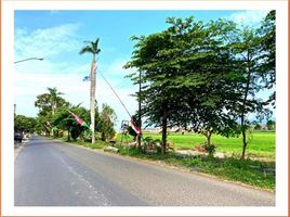  Land for sale in Prambanan, Klaten, Prambanan