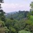 在Bogor Selatan, Bogor出售的 别墅, Bogor Selatan
