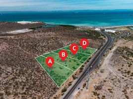 在Baja California Sur出售的 土地, La Paz, Baja California Sur