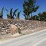  Grundstück zu verkaufen in San Martin De Las Piraamides, Mexico, San Martin De Las Piraamides