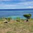  Land for sale in Cebu Central Visayas, Dalaguete