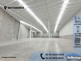 마타모로스, TamaulipasPropertyTypeNameBedroom, 마타모로스