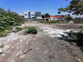  Land for sale in Miacatlan, Morelos, Miacatlan