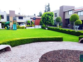 3 Schlafzimmer Appartement zu verkaufen in Cuajimalpa De Morelos, Mexico City, Cuajimalpa De Morelos