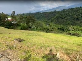  Land for sale in Armenia, Quindio, Armenia