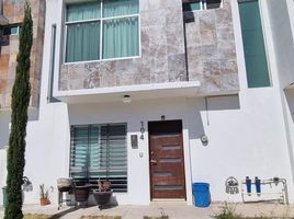 3 Habitación Villa en alquiler en Jalisco, Zapopan, Jalisco