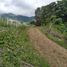  Land for sale in Yotoco, Valle Del Cauca, Yotoco