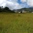  Land for sale in Yotoco, Valle Del Cauca, Yotoco