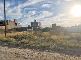 Land for sale in Biedma, Chubut, Biedma, Chubut