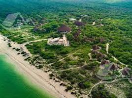  Grundstück zu verkaufen in Celestun, Yucatan, Celestun