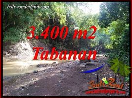  Land for sale in Selemadeg, Tabanan, Selemadeg