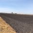  Land for sale in Salamanca, Guanajuato, Salamanca