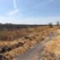  Land for sale in Salamanca, Guanajuato, Salamanca