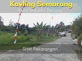  Land for sale in Klepu, Semarang, Klepu