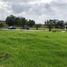  Land for sale in Tumbaco, Pichincha, Tumbaco