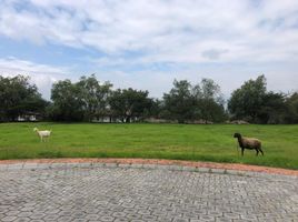  Land for sale in Tumbaco, Pichincha, Tumbaco