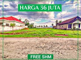  Land for sale in Banyuwangi, East Jawa, Gambiran, Banyuwangi