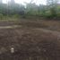  Terreno (Parcela) en venta en Mlati, Yogyakarta, Mlati, Sleman, Yogyakarta