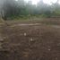  Terreno (Parcela) en venta en Mlati, Yogyakarta, Mlati, Sleman, Yogyakarta
