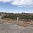  Land for sale in Torreon, Coahuila, Torreon, Coahuila