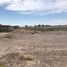  Land for sale in Torreon, Coahuila, Torreon, Coahuila