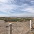 Land for sale in Torreon, Coahuila, Torreon, Coahuila