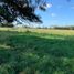  Land for sale in Mercedes, Buenos Aires, Mercedes
