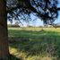  Land for sale in Mercedes, Buenos Aires, Mercedes