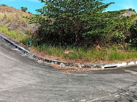  Terreno (Parcela) en venta en Consolacion, Central Visayas, Consolacion