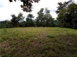  Land for sale in Cocle, Toabre, Penonome, Cocle